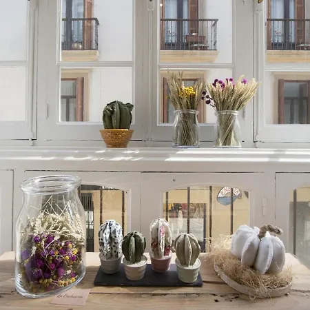 Bare By Oldtown Ss 圣塞瓦斯蒂安